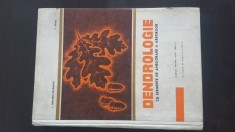 Dendrologie - I. Dumitru - Tataranu, 1969 foto