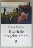 BISERICILE CIRESELOR AMARE , roman de CRISTIAN MELESTEU , 2024