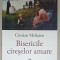 BISERICILE CIRESELOR AMARE , roman de CRISTIAN MELESTEU , 2024