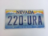 Nevada Inmatriculare USA original, decor de perete