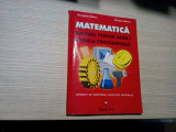 MATEMATICA Manual pentru Anul I Scoala Profesionala - Georgeta Ghiciu -2000,160p