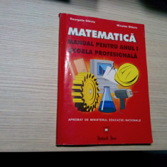 MATEMATICA Manual pentru Anul I Scoala Profesionala - Georgeta Ghiciu -2000,160p