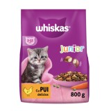 Hrana uscata pentru pisici, Whiskas Junior, junior, carne de pui, 800g