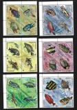 burundi pesti mnh