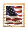 SUA (18) - U.S. Flag, 2017, obliterata, Stampilat