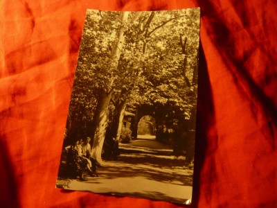 Ilustrata Buzias - Vedere din Parc - RPR 1958 Ed.Casa Scanteii foto