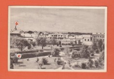AMS @ - VEDERE/ILUSTRATA - RADAUTI VEDERE DIN PARC, CIRCULATA, 1957, sepia-maro, (cu perforari)
