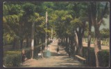Carte Postala Romania - Mures - Ocnele Muresului - Parcul