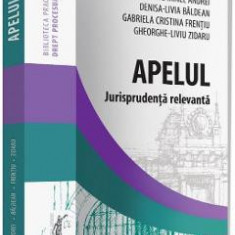 Apelul. Jurisprudenta relevanta - Axente Irinel Andrei