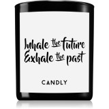 Candly &amp; Co. Inhale the future lum&acirc;nare parfumată 250 g