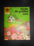 Elena Selaru - Florile din gradina mea