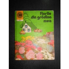 Elena Selaru - Florile din gradina mea