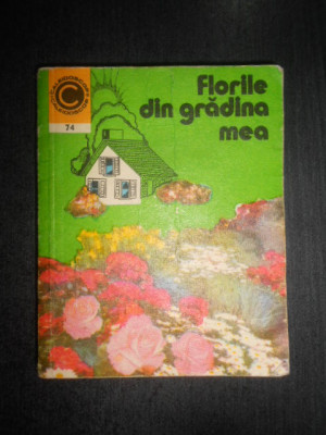 Elena Selaru - Florile din gradina mea foto