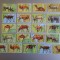 BURUNDI ANIMALE SERIE MNH=109