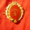 Insigna Infanterie GP -Garzile Patriotice , h=4,5cm