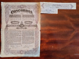 1935 Actiune Concordia 250 lei1924 - 241411