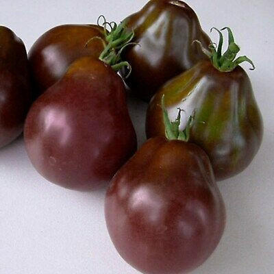 Rosii , tomate cherry negre BLACK TRUFFLE - 10 seminte pentru semanat foto