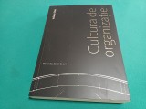 CULTURA DE ORGANIZAȚIE * IULIANA STAN * 2024 * 3 2 4