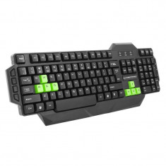 Tastatura Gaming Seaker Esperanza, interfata USB, Negru/Verde foto