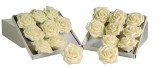 Set 12 trandafiri 6cm alb perlat/alb perlat cu gliter