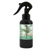 &Icirc;ngrășăm&acirc;nt Organic foliar pentru Kentia 500 ml