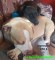 Foto  - 6