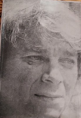 FRUMOS CA UMBRA UNEI IDEI NICHITA STANESCU foto