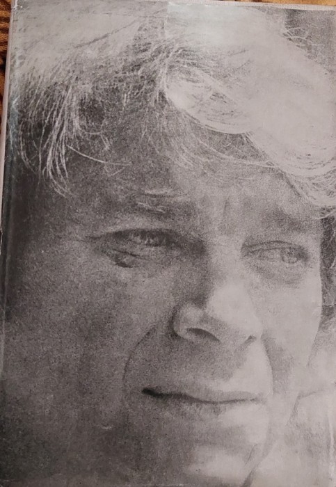 FRUMOS CA UMBRA UNEI IDEI NICHITA STANESCU