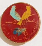 INSIGNA EXOTICA ROMANIA EXPOZITIE DE PASARI EXOTICE AGRICULTURA EXPOZITII ( CITITI DESCRIEREA -ENUNTUL )