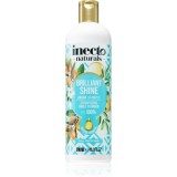 Inecto Argan șampon pentru un par stralucitor si catifelat 500 ml