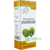 Extract Natural din Anghinare fara Alcool 200ml