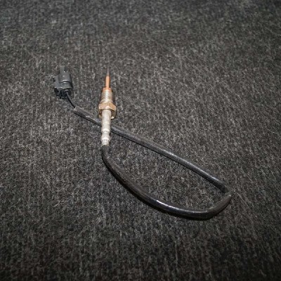 Senzor de temperatură BMW 4 Coupe F32, F82 2014 OEM: 8509963 2671281 foto