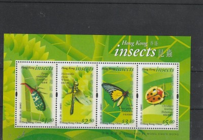 Fauna ,insecte ,Honk Kong. foto
