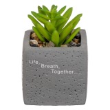 Ghiveci Decorativ din Ciment cu Planta Artificiala &amp; Pietricele, 6x6x9cm, CMCLASS