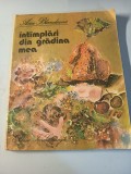 &Icirc;nt&acirc;mplări din gradina mea Ana Blandiana