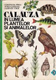 Calauza in lumea plantelor si animalelorGhid ilustrat mb