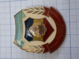 insigna Garzi patriotice 3