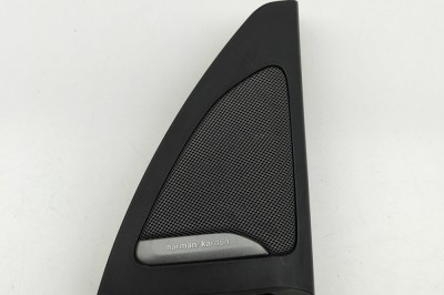 Difuzor ușă dreapta față BMW X5 G05 2020 OEM: 7445518 30963638 foto