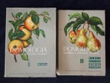 Pomologia R.S. Romania, vol. 2, 3. Marul, parul, gutuiul, mosmonul, scorusul (2 vol.)