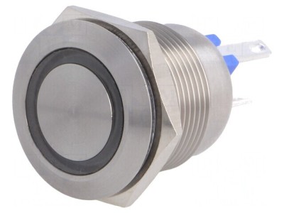 Comutator Anti-Vandalism 2 Poz SPST-NO 0,05A 24V IP66 foto