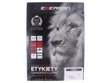Etichete autoadezive 210x297mm 100buc