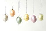 Set decorativ - Egg Spring Rise Color Mix | Kinta