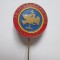 Insignă Romania:Al III-lea Congres Partidul Romania Mare,noiembrie 2001