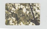 bnk card Cartele telefonice - Romania Romtelecom 2002 Spring 4 - Col:RO-ROM-0144B