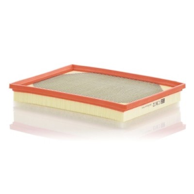 Filtru aer Mann-Filter C36172 foto