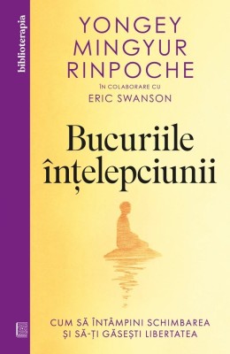 Bucuriile Intelepciunii, Eric Swanson, Yongey Mingyur Rinpoche - Editura Curtea Veche foto