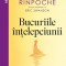 Bucuriile Intelepciunii, Eric Swanson, Yongey Mingyur Rinpoche - Editura Curtea Veche