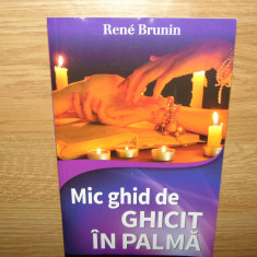 MIC GHID DE GHICIT IN PALMA -RENE BRUNIN