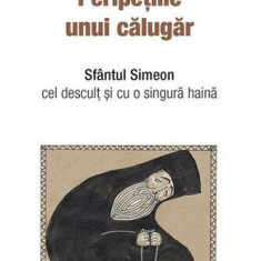 Peripeţiile unui călugăr - Paperback brosat - Arhim. Vasilios Bacoianis - De Suflet