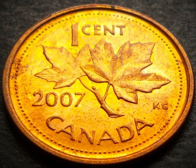 Moneda 1 CENT - CANADA, anul 2007 * cod 4265 = excelenta foto